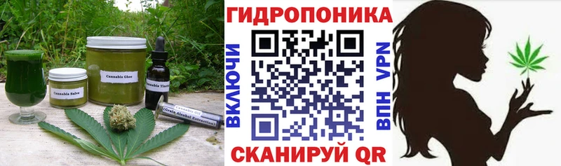 Купить закладки  Плавск  Еда ТГК марихуана 