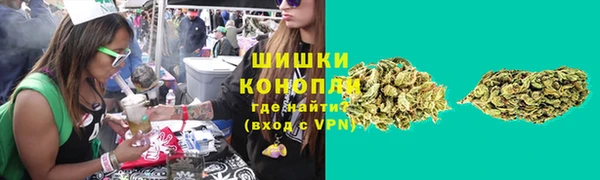 молекула духа Богородицк
