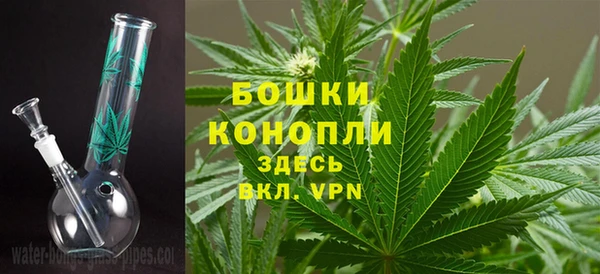 героин Богданович