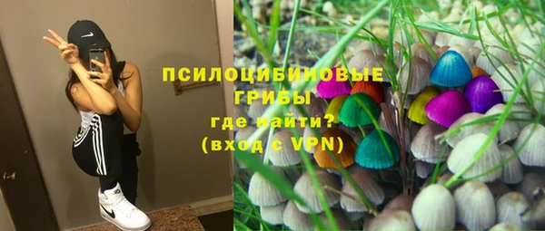 героин Богданович
