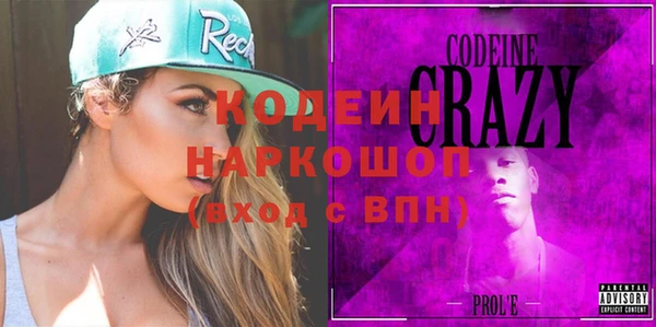 молекула духа Богородицк