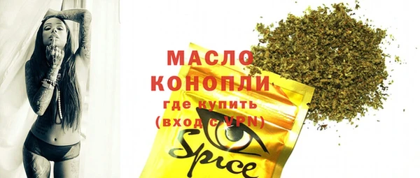 молекула духа Богородицк