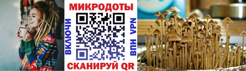 Галлюциногенные грибы GOLDEN TEACHER  Купить  Плавск 